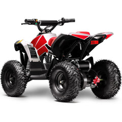 Full Battery 36V 1.0 kW Lead Acid ATV
