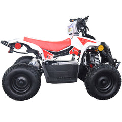 Full Battery 36V 1.0 kW Lead Acid ATV