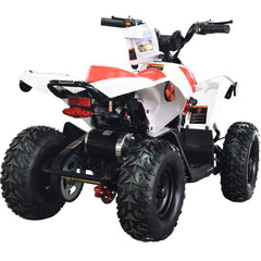 Full Battery 36V 1.0 kW Lead Acid ATV