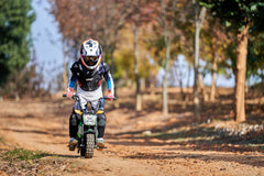 Full Battery 24V 250 Watt Mini Bike