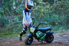 Full Battery 24V 250 Watt Mini Bike