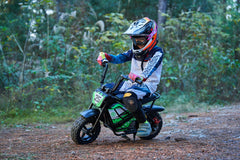 Full Battery 24V 250 Watt Mini Bike