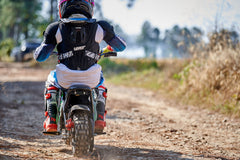 Full Battery 24V 250 Watt Mini Bike