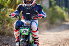 Full Battery 24V 250 Watt Mini Bike