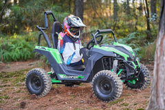 Full Battery 48V Mini UTV 1200W Full Suspension