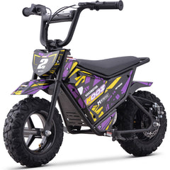 Full Battery 24V 250 Watt Mini Bike