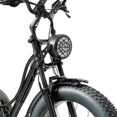 Scoot Motion 3-Wheel Electric Bike Fat Bike 750W – Treefat 2