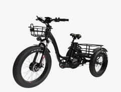 eMobilityStar Fat Tire Electric Tricycle EMS-FTT1000