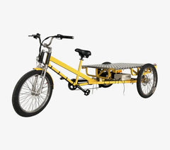 eMobilityStar Electric Flatbed Cargo Trike Tricycle EMS-FCB1000X