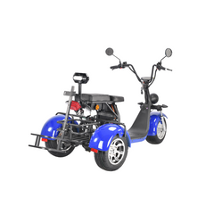 Scoot Motion Golf Rack for Citycoco CP-3.0 and HM-3.0