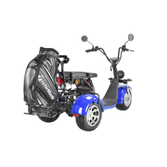 Scoot Motion Golf Rack for Citycoco CP-3.0 and HM-3.0