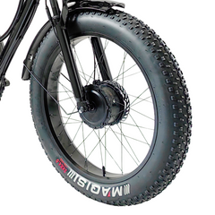 Scoot Motion 3-Wheel Electric Bike Fat Bike 750W – Treefat 2