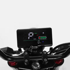 SoverSky Chopper Scooter Speedmeter - Spare Parts from SoverSky Fat Tire Electric Citycoco