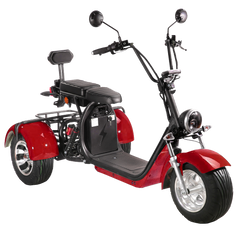 SoverSky Electric Mobility Adult Trike 2000w T7.1/T7.2