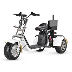 SoverSky T7.3 Electric Fat Tire Golf Trike SoverSky