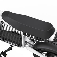 COSWHEEL T16 EBike