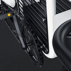 COSWHEEL T16 EBike