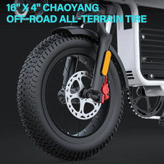COSWHEEL T16 EBike