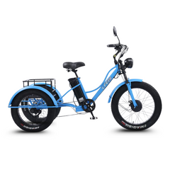 Scoot Motion 3-Wheel Electric Bike Fat Bike 750W – Treefat 2