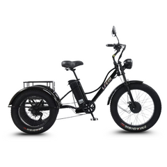 Scoot Motion 3-Wheel Electric Bike Fat Bike 750W – Treefat 2