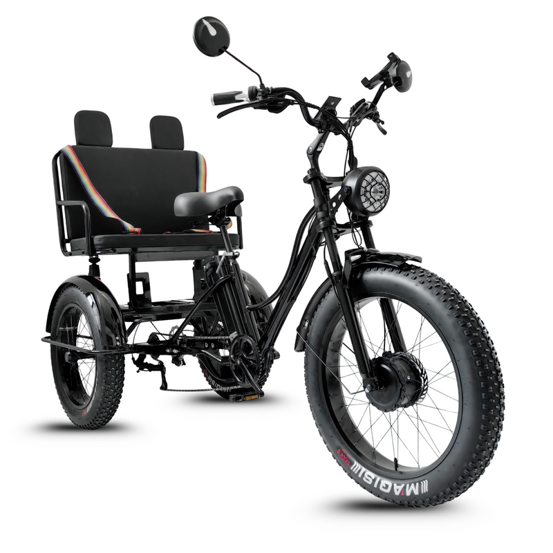 Scoot Motion 3-Wheel Electric Bike Fat Bike 750W – Treefat 2