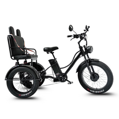 Scoot Motion 3-Wheel Electric Bike Fat Bike 750W – Treefat 2