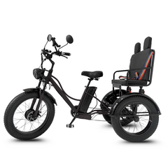 Scoot Motion 3-Wheel Electric Bike Fat Bike 750W – Treefat 2