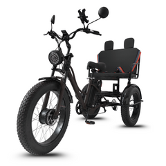 Scoot Motion 3-Wheel Electric Bike Fat Bike 750W – Treefat 2