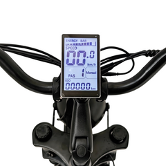 Scoot Motion 3-Wheel Electric Bike Fat Bike 750W – Treefat 2