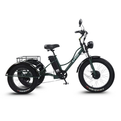 Scoot Motion 3-Wheel Electric Bike Fat Bike 750W – Treefat 2