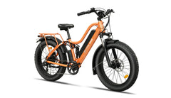 Beecool Bikes Bee Explorer Bee-Explorer
