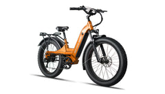 Beecool Bikes Bee Pathfinder Step-Thru Bee-Pathfinder-ST