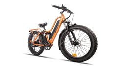 Beecool Bikes Bee Explorer Bee-Explorer