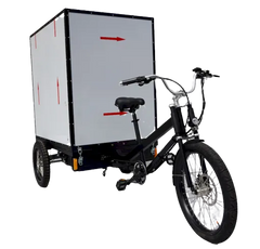 eMobilityStar Electric Box Cargo Bike Trike 202006141