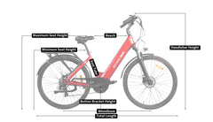 Beecool Bikes Bee Pacer
