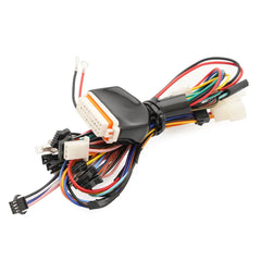 Scoot Motion Main electrical harness for Citycoco CP-1.6 and CP-3.0