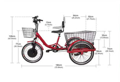 eMobilityStar Adult Motorized Electric Tricycle 399-2