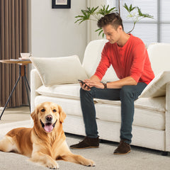 69' PLUSH CLOUD LOVESEAT: Modular 2-Seater Sectional Sofa with 22' Beige Chenille Cushions + 2 Throw Pillows - Compact Size for Apartment, Living Room, Bedroom (Beige)