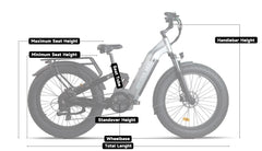 Beecool Bikes Bee Defender