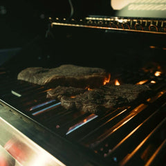 Monument Grills Denali 605 | Stainless Smart Tech Natural/Propane Gas Grill