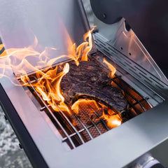 Monument Grills Denali 605Pro | Stainless Smart Propane Gas Grill