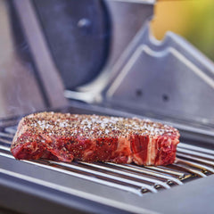 Monument Grills Denali 605Pro | Stainless Smart Propane Gas Grill