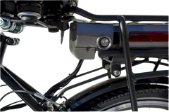eMobilityStar Classic Electric Dutch Cargo Tricycle Bike 202207271