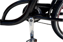 eMobilityStar Classic Electric Dutch Cargo Tricycle Bike 202207271