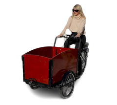 eMobilityStar Classic Electric Dutch Cargo Tricycle Bike 202207271