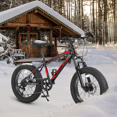 S20109 20 Inch Mountain Bike for Kids and Teenagers, High Carbon Steel Frame, Disc Brakes, Durable Wide Tires, Front Suspension, 7-Speed, Ideal for Snow and Off-Road Riding