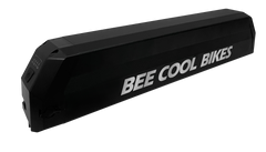 Beecool Bikes Ebike Battery (All Models Included)