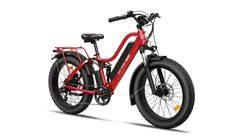 Beecool Bikes Bee Explorer Lite Bee-Explorer-24