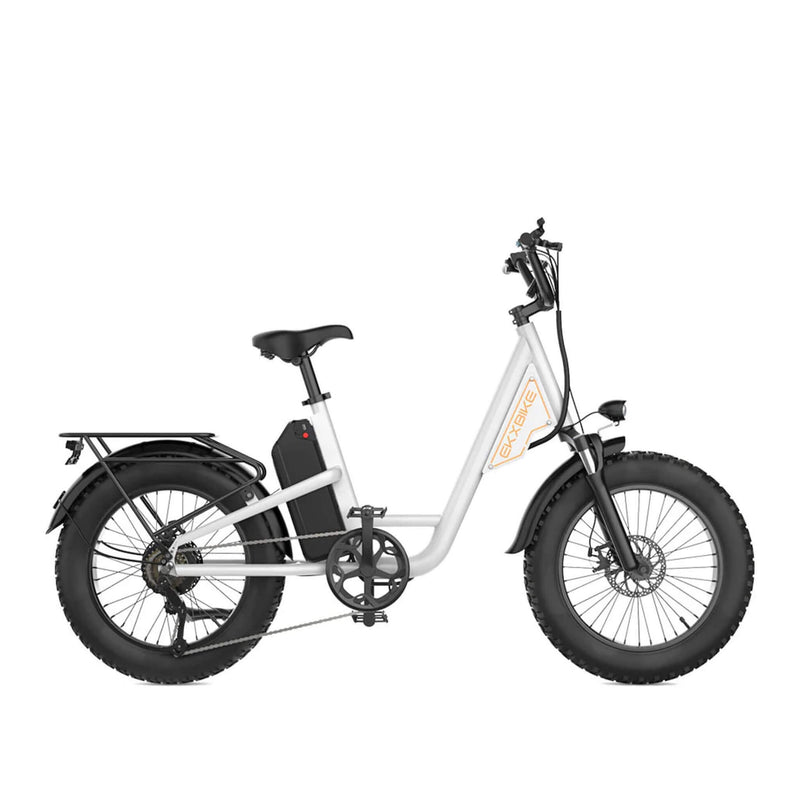 EKX L1 1000W 48V/15.6AH Electric Mountain Fat Tire Bike, 20