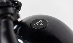 Beecool Bikes Ebike Battery (All Models Included)